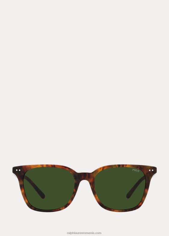 havana lucioasă jerry bărbați Ralph Lauren ochelari de soare pătrați în carouri 046888759